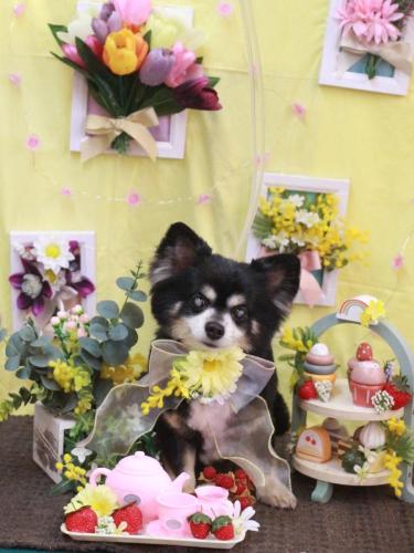 20230311ココアくん